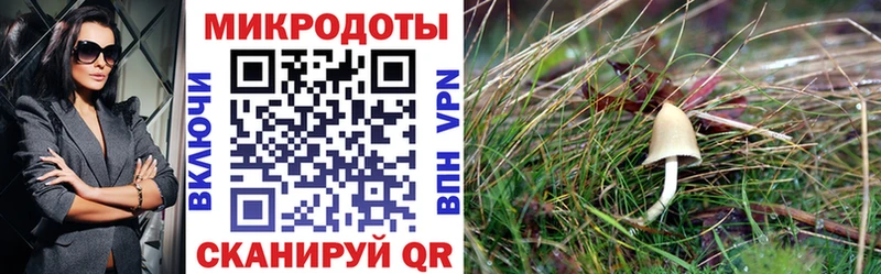 Псилоцибиновые грибы Magic Shrooms  Купить где  Гороховец 